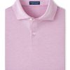 Men'S Peter Millar T-Shirts | Albatross Cotton Blend Pique Polo In Valencia | Peter Millar